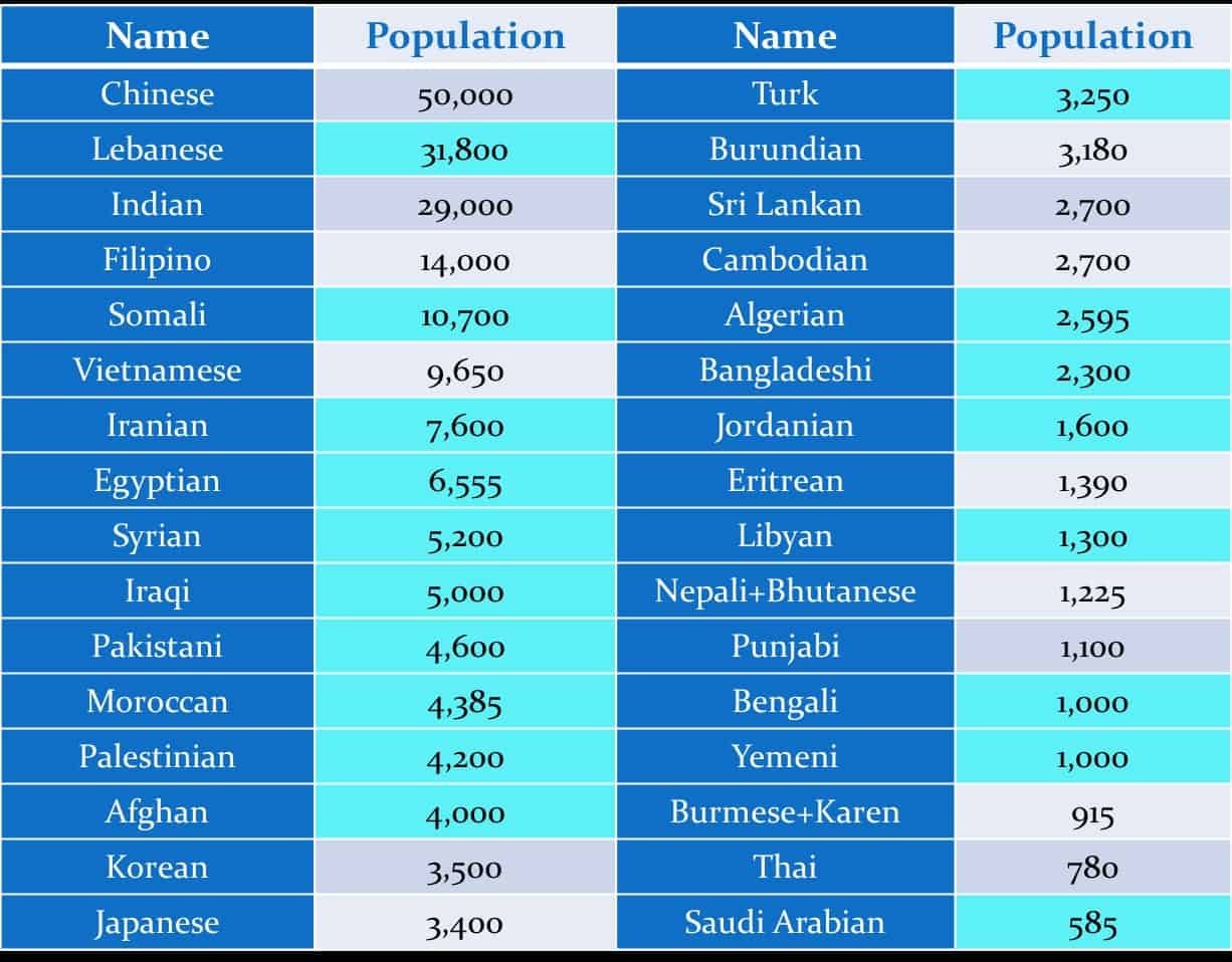 오타와 거주 소수민족별 인구조사결과