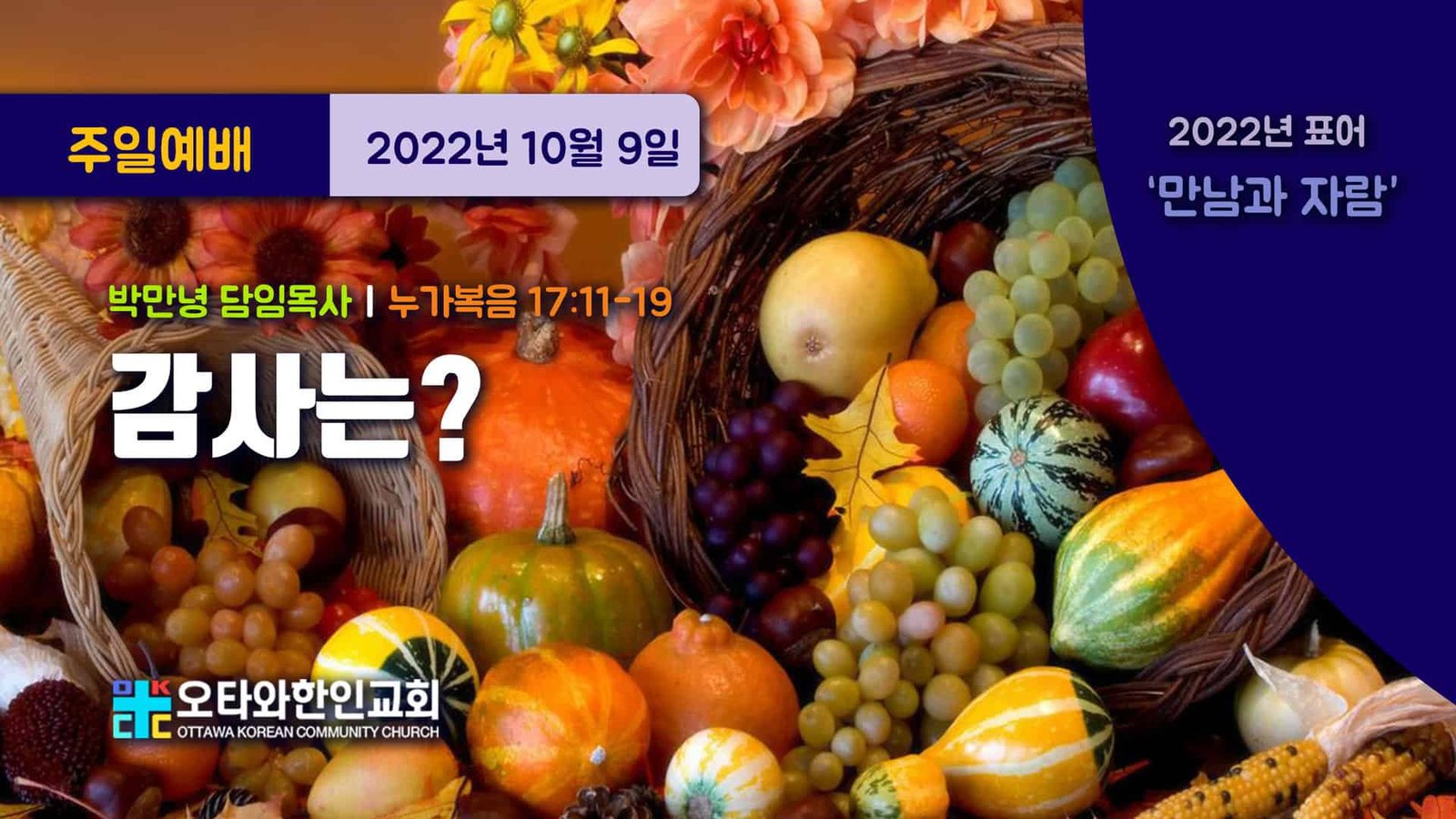 감사는?
