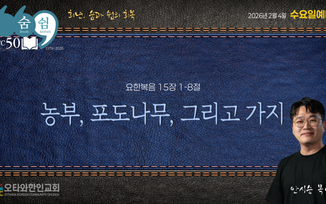 농부, 포도나무, 그리고 가지